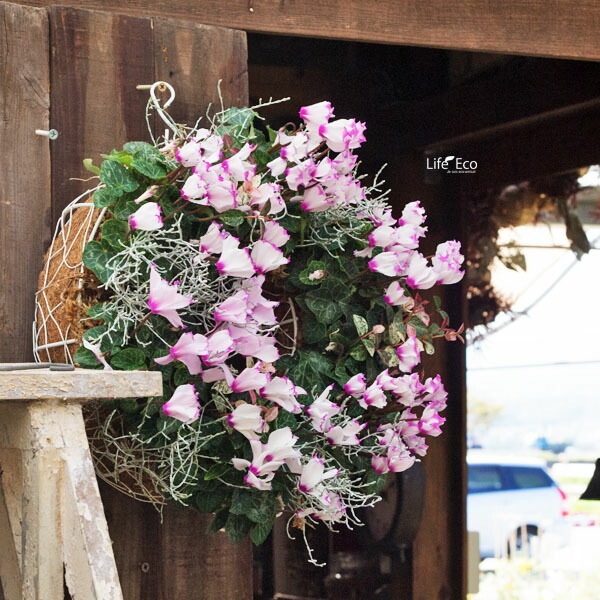 寄せ植え専用 アイアンリースリング ココファイバー付 ブラック M W28×H9.0cm 【送料B】