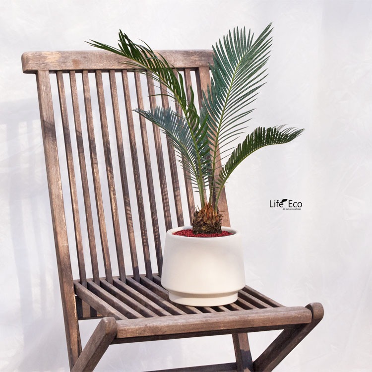 鉢土に載せるマルチングストーン（カラーストーン・化粧石）レッド（赤） 小粒 5～7mm  / 観葉植物、鉢花、鉢植え庭木の乾燥・害虫防止【送料無料】