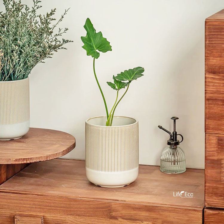 鉢カバー（花器） 釉薬陶器製インテリアポット ノルダ（NORDA） アイボリー（クリーム） φ15cm×H18.6cm（5号）【送料無料】