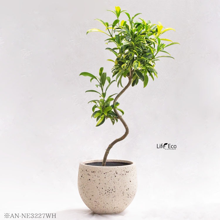植木鉢 大型 ファイバーセメント製 ノード エッグ ホワイト（白） / φ31cm×H27cm（10号）【送料E】