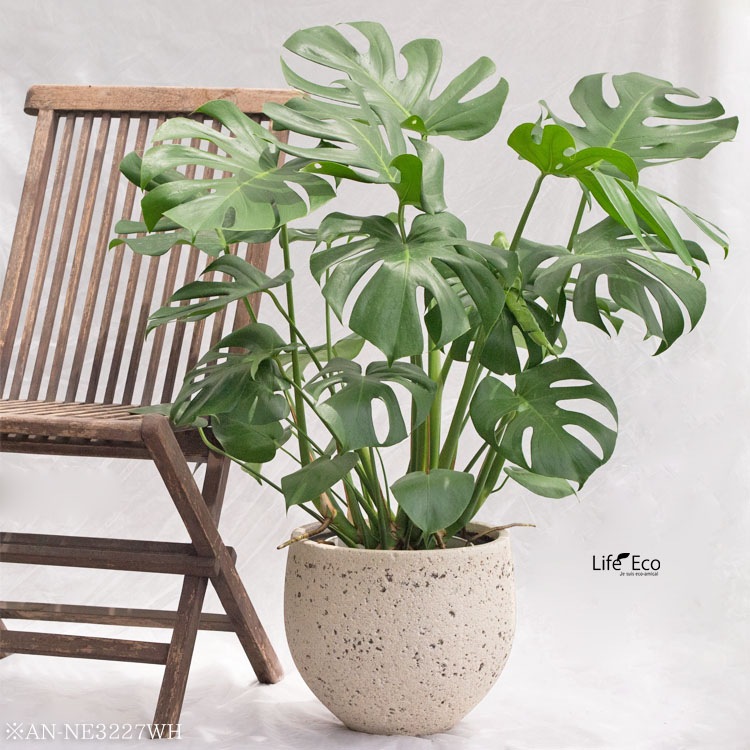 植木鉢 大型 ファイバーセメント製 ノード エッグ ホワイト（白） / φ31cm×H27cm（10号）【送料E】