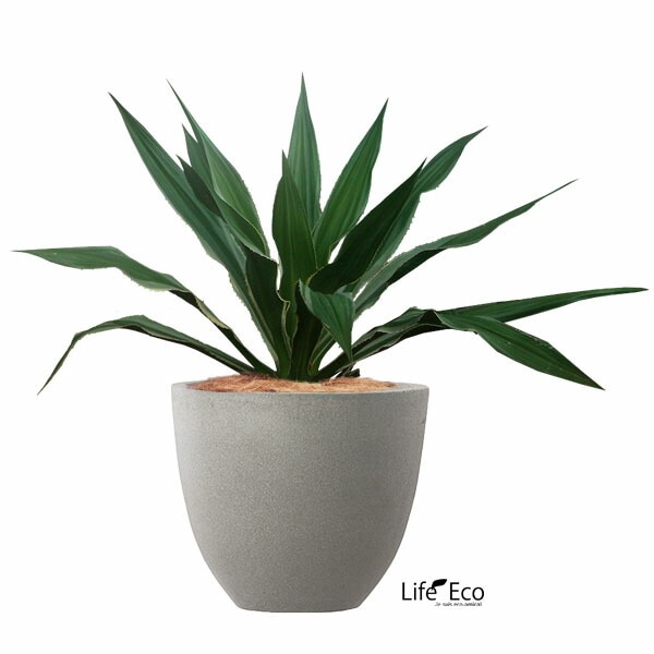 植木鉢 軽量ファイバーセメント製 スタウト アッシュラウンド グレー 50cm（17号）【送料F】