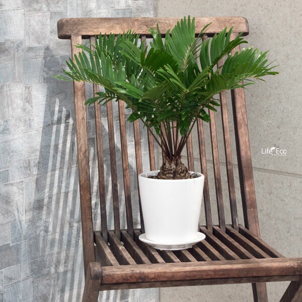 植木鉢 釉薬陶器製 インテリアポット オスト ラウンド マットホワイト （白）皿付 φ11cm×H11cm（4号）【6個入】【送料E】