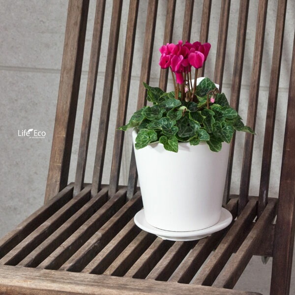 植木鉢 釉薬陶器製 インテリアポット オスト ラウンド マットホワイト （白）皿付 φ11cm×H11cm（4号）【6個入】【送料E】