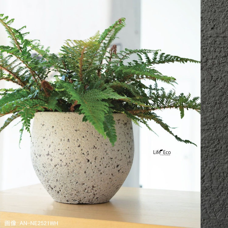 植木鉢 大型 ファイバーセメント製 ノード ラウンド ホワイト（白） / φ28cm×H26cm（9号）【送料D】