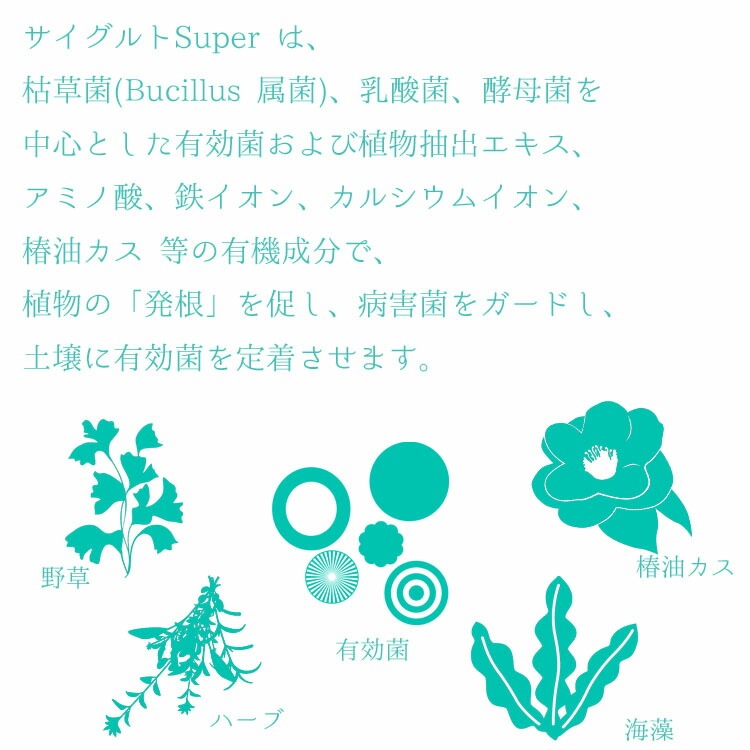 植物活力液・土壌改良剤・堆肥化促進剤 サイグルト SUPER 1L【完全有機成分・全植物用】10個入【送料D】