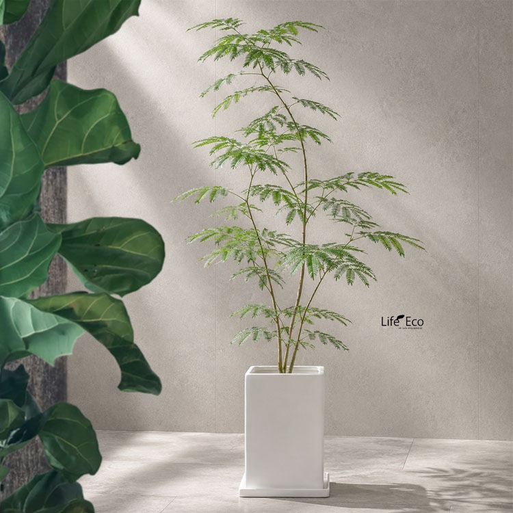 植木鉢【数量限定】釉薬陶器製インテリアポット COCOトールプリズム マットホワイト（白・艶無し）□21cm×H30cm（7号・7寸）【送料E】