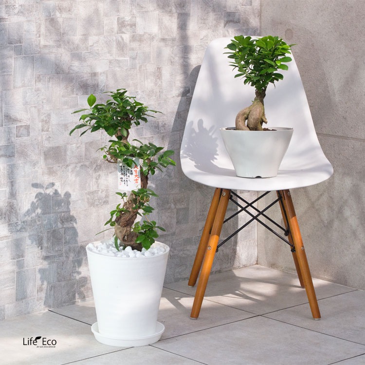 植木鉢 樹脂製ポット セラアート ラウンド 長鉢 ホワイト（白）φ21cm×H22.7cm（7号）受皿付　【送料B】