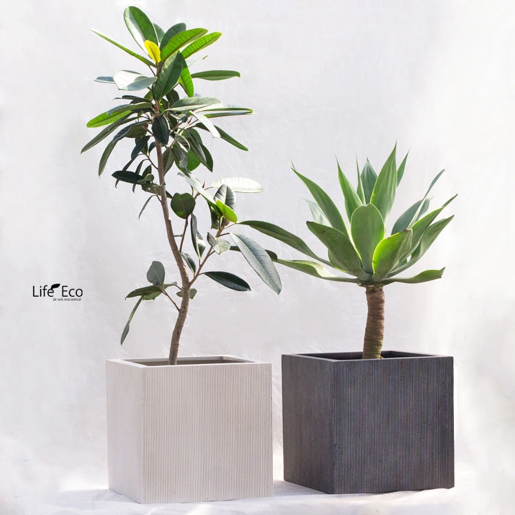 植木鉢 軽量大型 FRP製 エンバス キューブ ホワイト（白） / □50cm×H50cm（17号）【送料F】