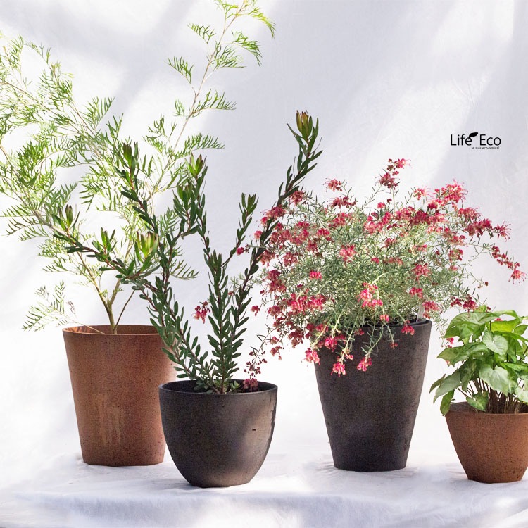 植木鉢 軽量コンクリート製 エイジング ラウンド ラスティー / φ18cm×H15cm（6号）【送料A】