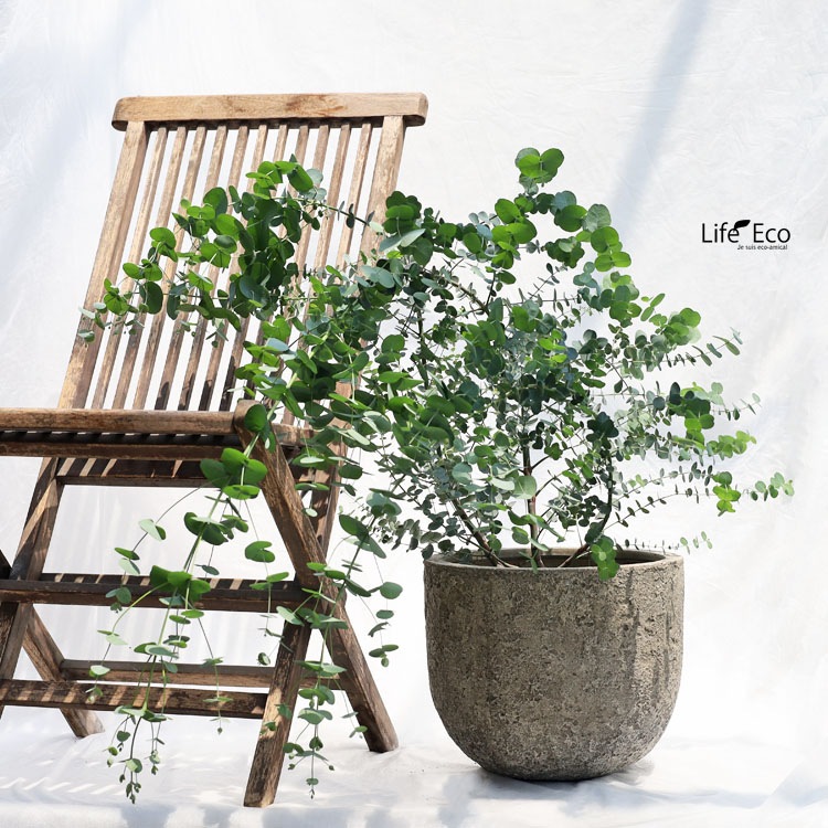 植木鉢 大型 軽量 FRP製 ブラックス（BRACKS） ラウンド アンティーククリーム（アイボリー） φ45cm×H38cm（15号・15寸）【送料F】