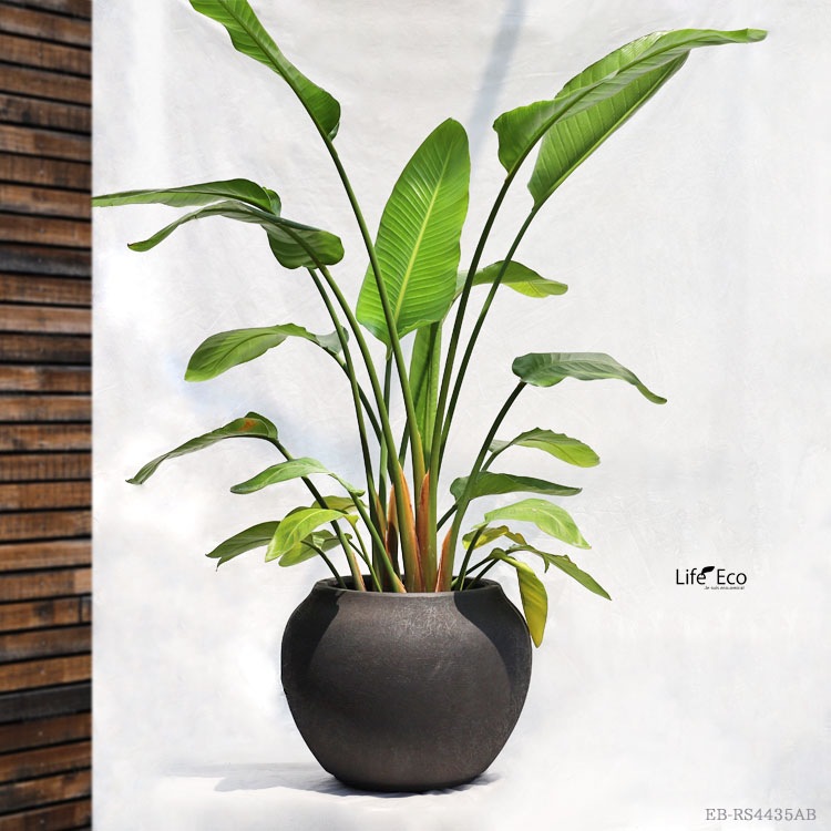 植木鉢 軽量大型 FRP製 ルノ シャロージャー カプチーノ（ブラウン・茶） / φ45cm×H35cm（14号）【送料E】