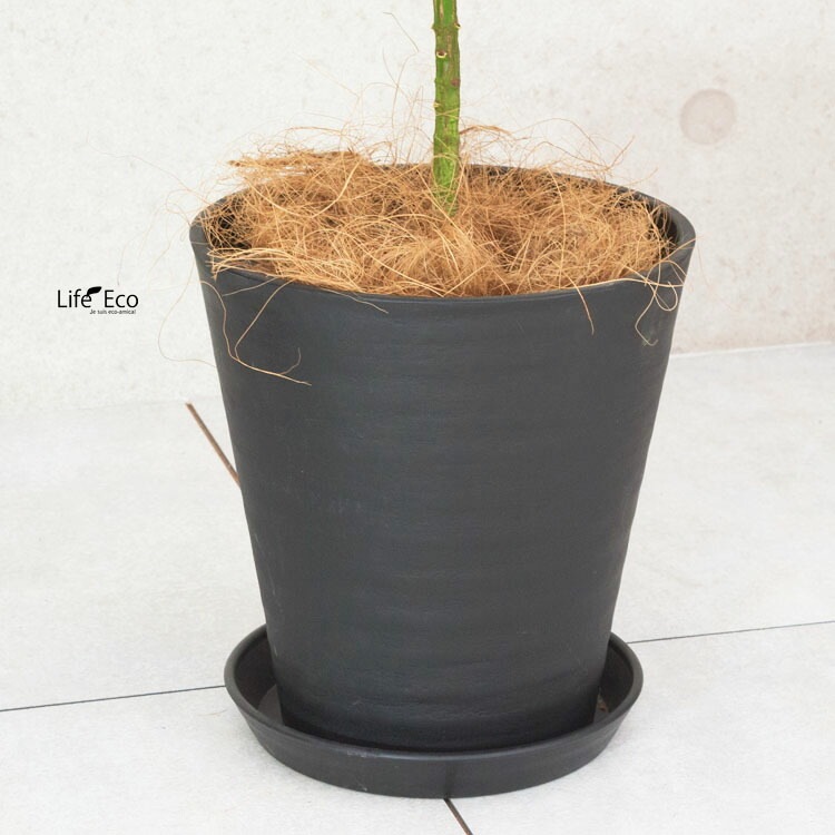 植木鉢 樹脂製ポット セラアート ラウンド 長鉢 ブラック（黒）φ24cm 受皿付 【送料B】