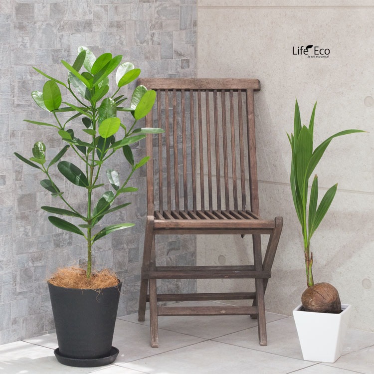 植木鉢 樹脂製ポット セラアート ラウンド 長鉢 ブラック（黒）φ24cm 受皿付 【送料B】