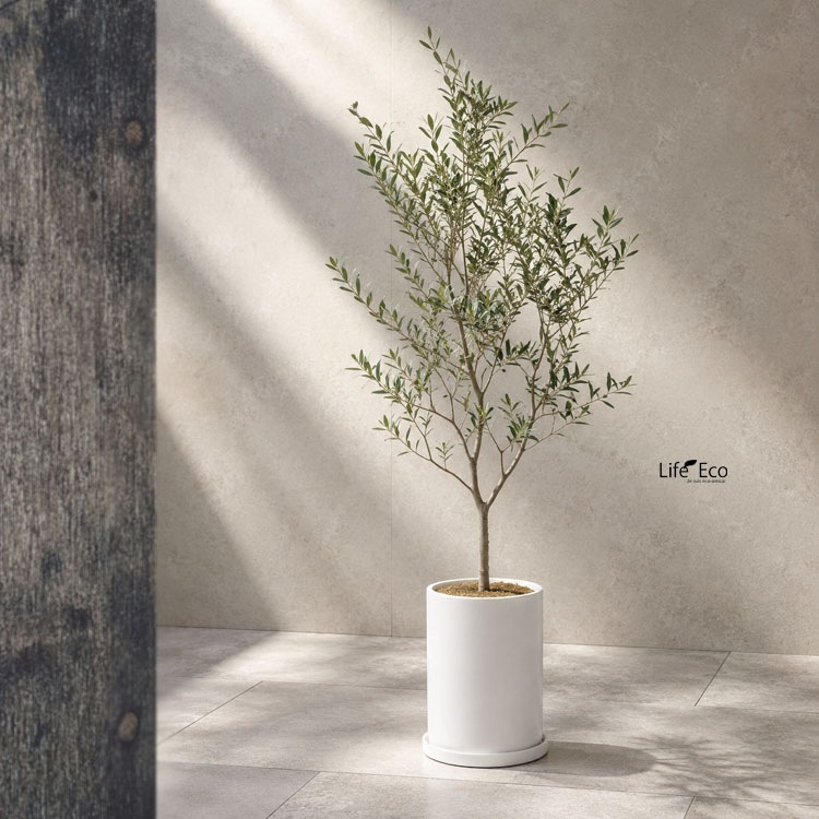 植木鉢【数量限定】釉薬陶器製インテリアポット COCOロングシリンダー マットホワイト（白・艶無し）φ21cm×H30cm（7号・7寸）【送料E】