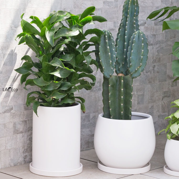 植木鉢【数量限定】釉薬陶器製インテリアポット COCOロングシリンダー マットホワイト（白・艶無し）φ21cm×H30cm（7号・7寸）【送料E】