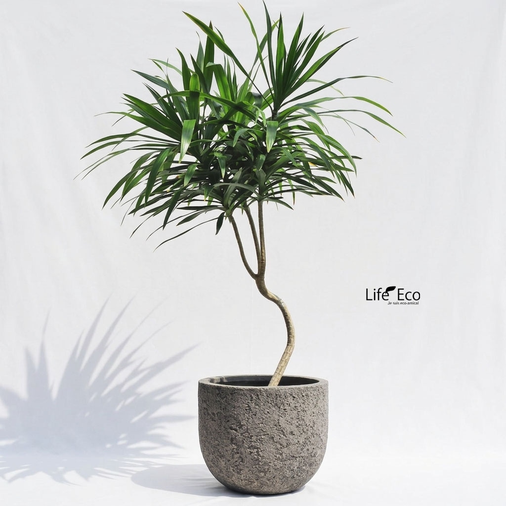 植木鉢 大型 軽量 FRP製 ブラックス（BRACKS） ラウンド アンティークブラック（黒） φ45cm×H38cm（15号・15寸）【送料F】