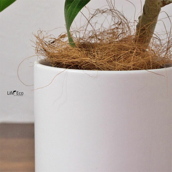 植木鉢 釉薬陶器製 インテリアポット オスト トールエッグ マットホワイト （白）皿付 φ13cm×H16cm（4号）【6個入】【送料E】