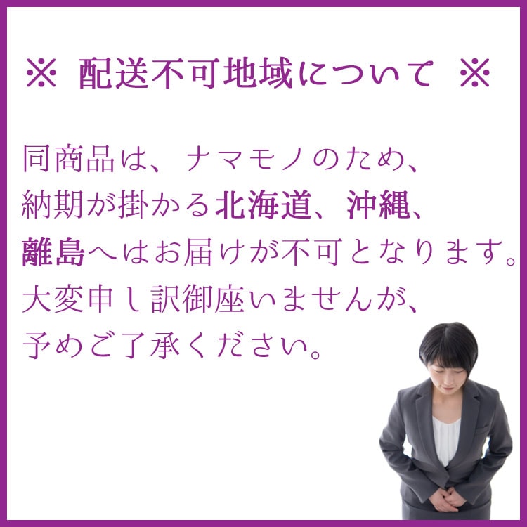 庭木・植木 ユーカリ・グニー（シルバードロップ） / 6寸・約W40cm×H65cm【送料E】
