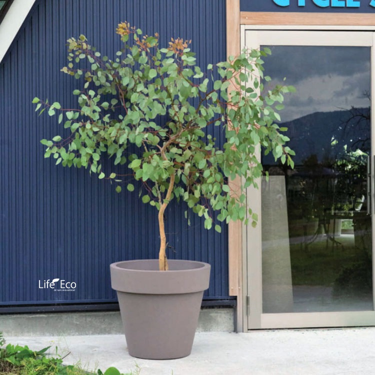 鉢カバー（穴無し植木鉢）大型 軽量 スタンダード ワン カプチーノ