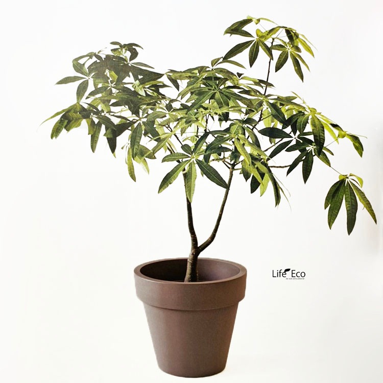 鉢カバー（穴無し植木鉢）大型 軽量 スタンダード ワン カプチーノ