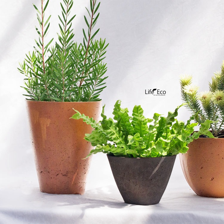 植木鉢 軽量コンクリート製 エイジング シャロー（浅鉢） ブラウン（茶） / φ20cm×H14cm（7号）【送料D】