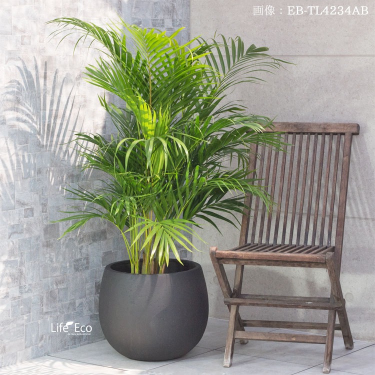植木鉢 ファイバー製 おしゃれ 軽量 大型 テラニアス ローバルーン アンティークブラウン（ブラック・黒） φ55cm×H45cm（18号）【送料G】