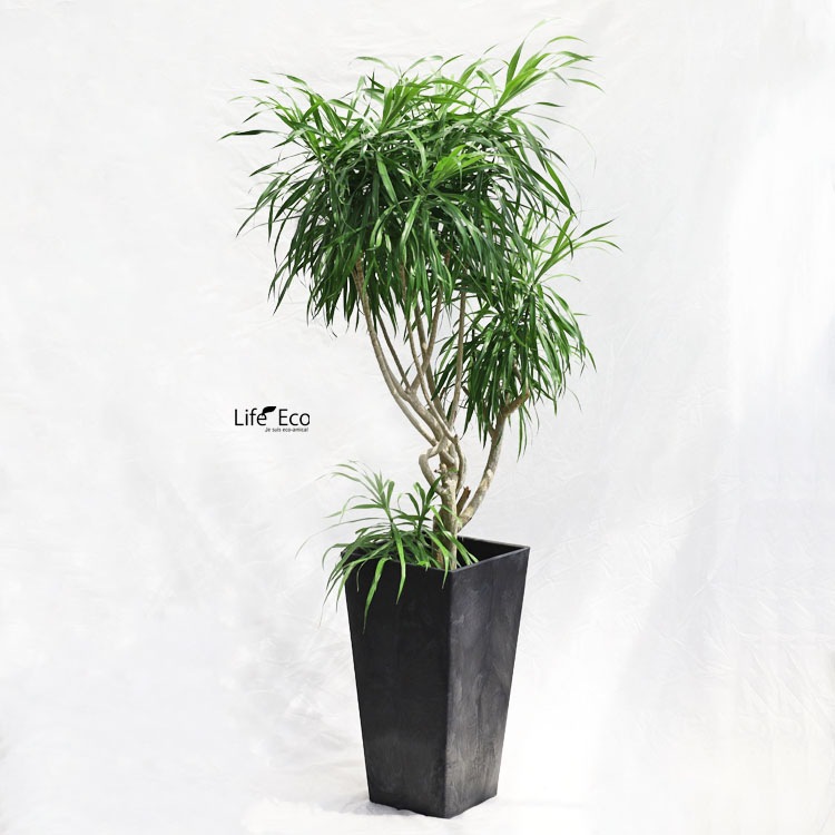 植木鉢 底面給水型(底栓付) アートストーン トールスクエア 角 ブラック 黒 □40cm×H90cm（13号）【送料H】