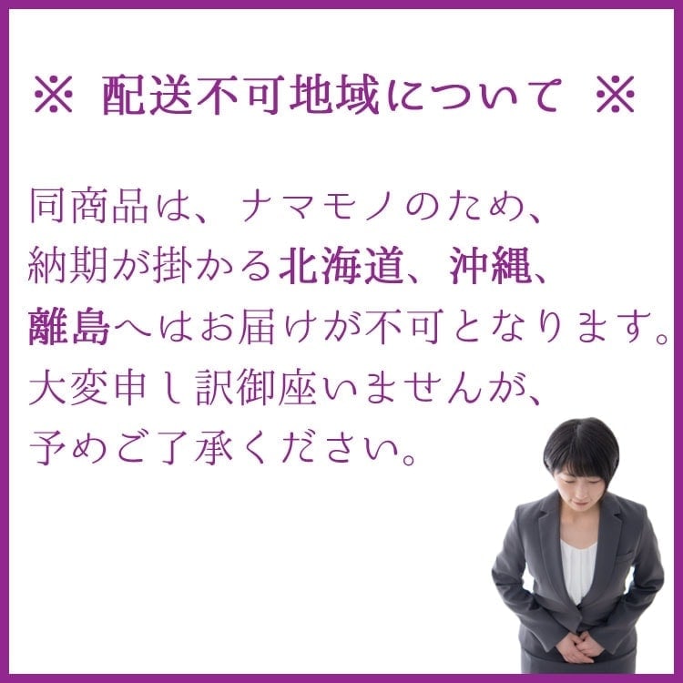 庭木・植木 コニファー・ボールバード（ブルーバード） / 4寸・約W30cm×H55cm【3株セット】【送料D】