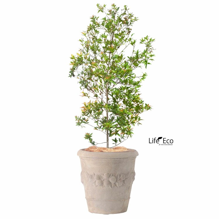 植木鉢 アンティーク調 素焼き テラコッタ鉢 モンテガロ アンティコ φ25cm×H25cm（8号）【送料E】