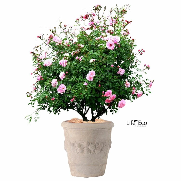 植木鉢 アンティーク調 素焼き テラコッタ鉢 モンテガロ アンティコ φ25cm×H25cm（8号）【送料E】