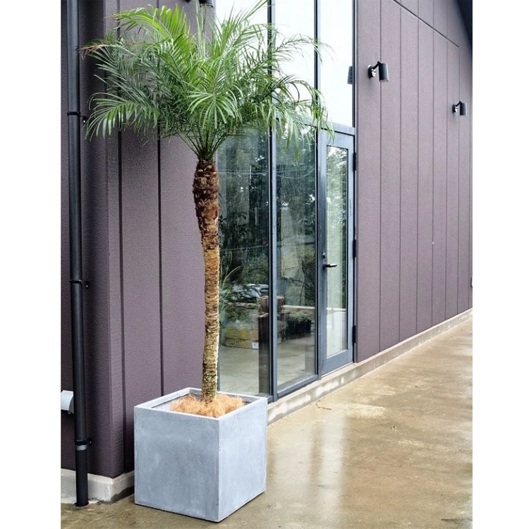 植木鉢 軽量 ファイバークレイ製 バスク キューブ グレー 灰 50cm（17号）【送料F】