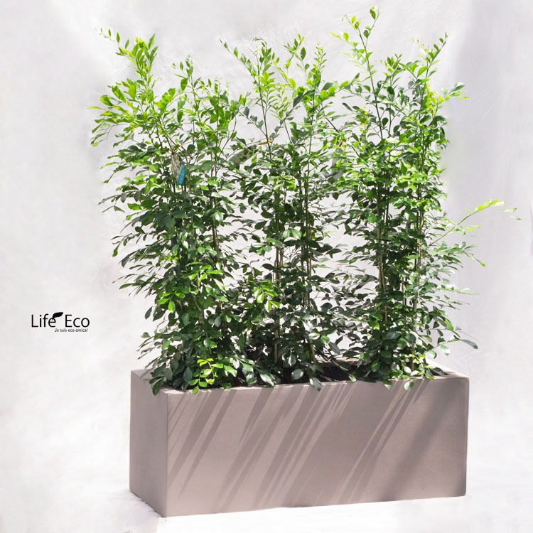 植木鉢 軽量大型 FRP製 BL キンロス プランター ベージュ / L100cm×W45cm×H45cm（33号）【送料H】
