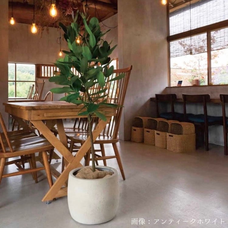 植木鉢 大型 軽量 FPR製 モードライト バレル ライトグレー / φ44cm×H36cm（15号）【送料F】