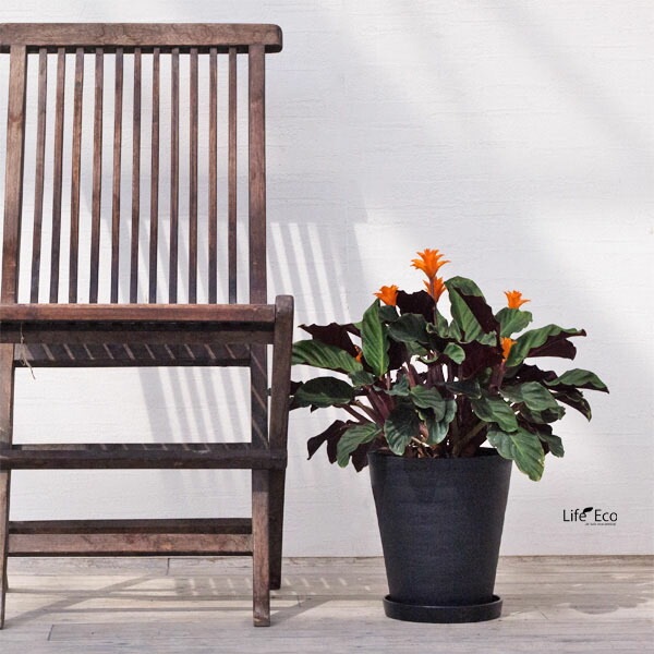 植木鉢 樹脂製ポット セラアート ラウンド 長鉢 ブラック（黒）φ21cm×H22.7cm（7号）受皿付【2個入】【送料B】