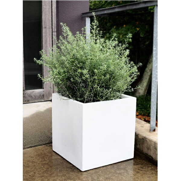 植木鉢 軽量 ファイバークレイ製 バスク キューブ ホワイト 白 60cm（20号）【送料G】