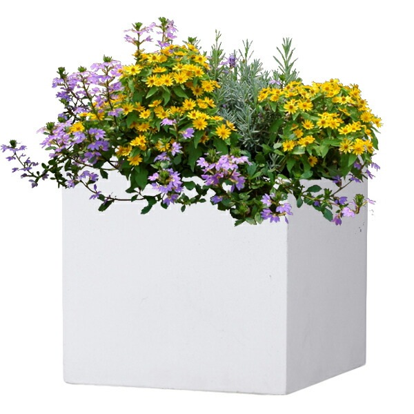 植木鉢 軽量 ファイバークレイ製 バスク キューブ ホワイト 白 60cm（20号）【送料G】