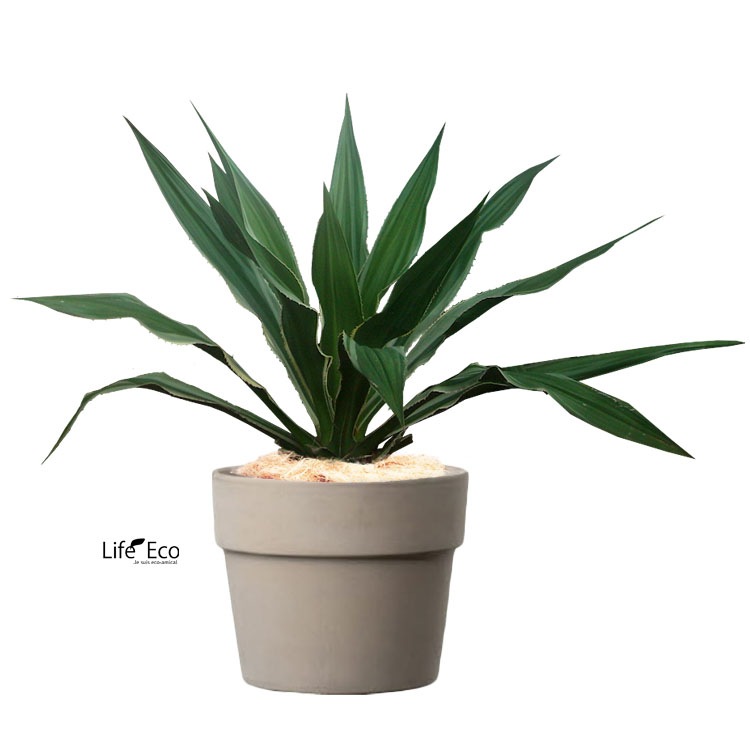 植木鉢 テラコッタ製 ペルフェット ラウンド カプチーノ φ25cm×H20cm（8号）【4個入】【送料E】