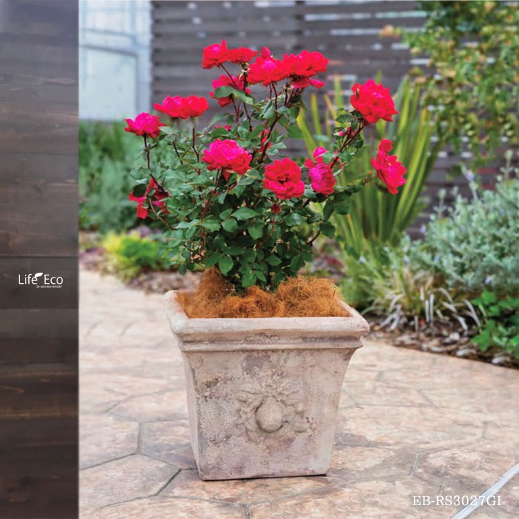 植木鉢 テラコッタ製 アンティーク調 素焼き鉢 リモーネ シャロー（浅鉢） アンティコ（ベージュ） / φ35.7cm×H18.9cm（12号）【送料E】