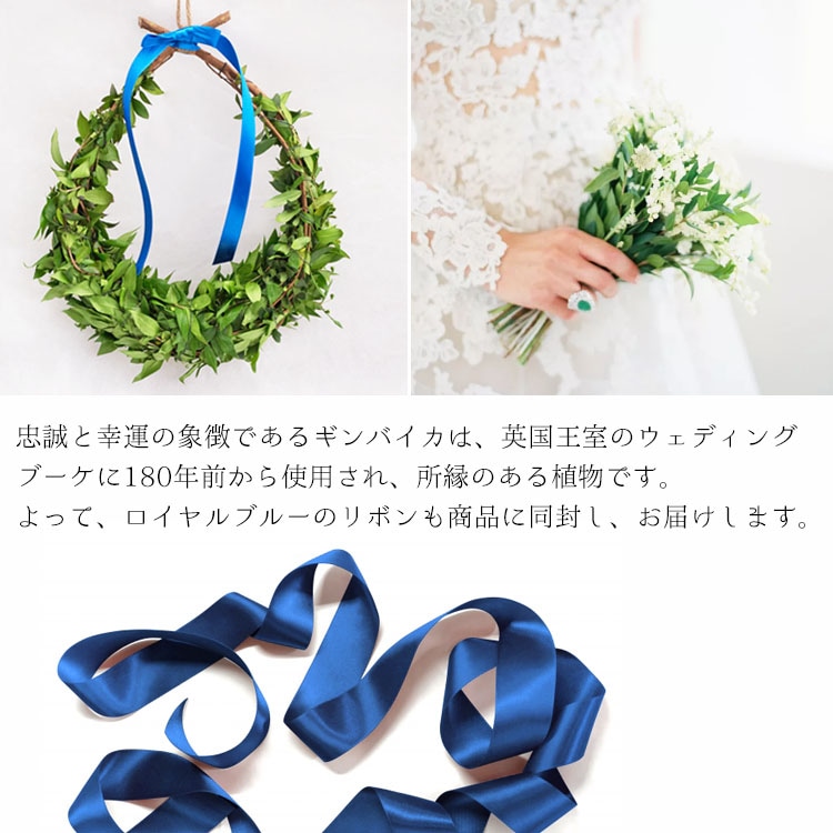 ギンバイカ（銀梅花・マートル）のロイヤルドロップリース L / 約W30cm×D40cm【3個セット】【送料E】