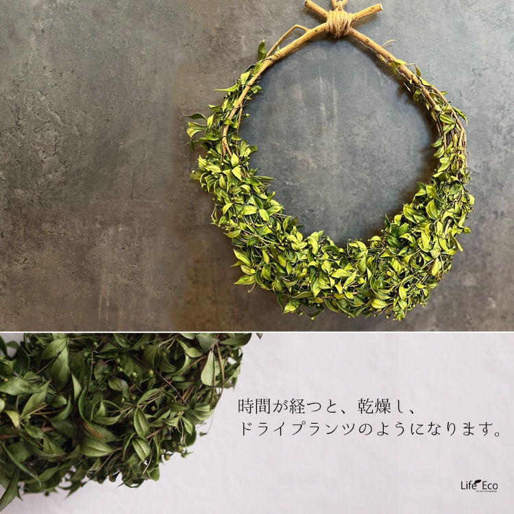 ギンバイカ（銀梅花・マートル）のロイヤルドロップリース L / 約W30cm×D40cm【3個セット】【送料E】