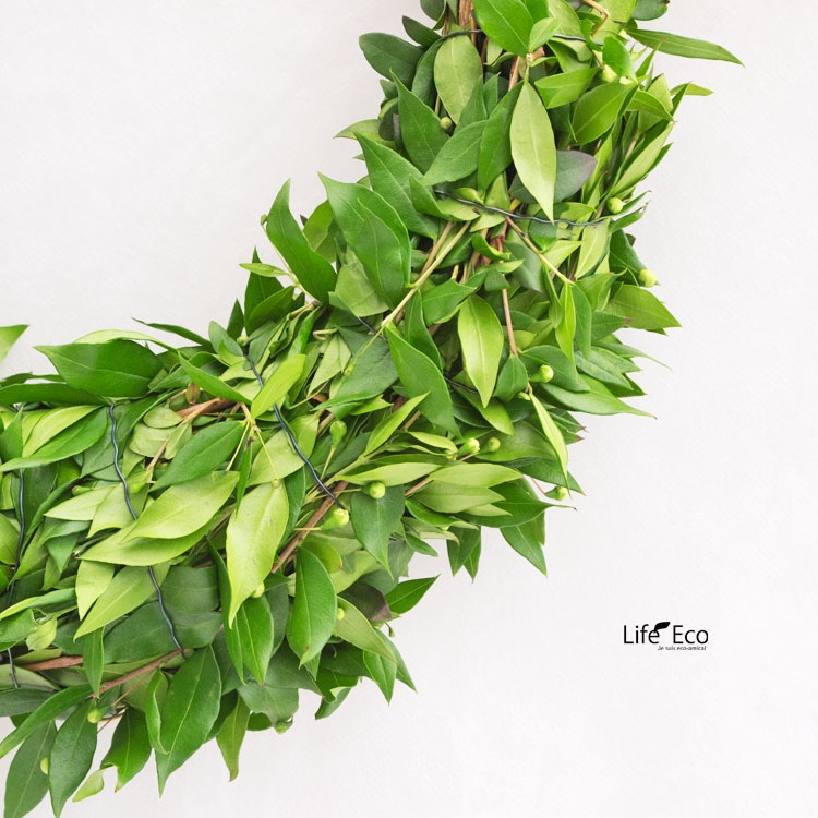 ギンバイカ（銀梅花・マートル）のロイヤルドロップリース L / 約W30cm×D40cm【10個セット】【送料E】