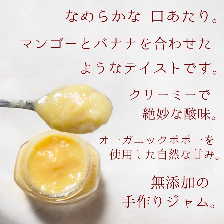 オーガニック栽培でつくった【幻の果実】ポポーの無添加 手づくりジャム 150g～森のカスタード～【2個入】【送料無料】