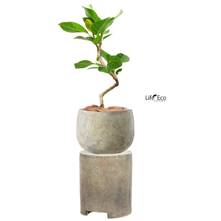 花台（鉢置台） テラコッタ製 ペデスタル シリンダー アンティーククリーム（ベージュ） φ20cm×H24cm【送料B】