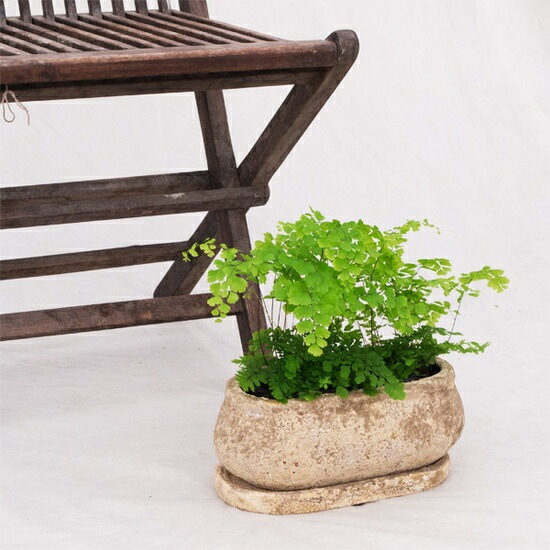 植木鉢 釉薬陶器製 インテリアポット プランター CL012-300 / W30cm×D15cm×H12cm（10号）【送料B】