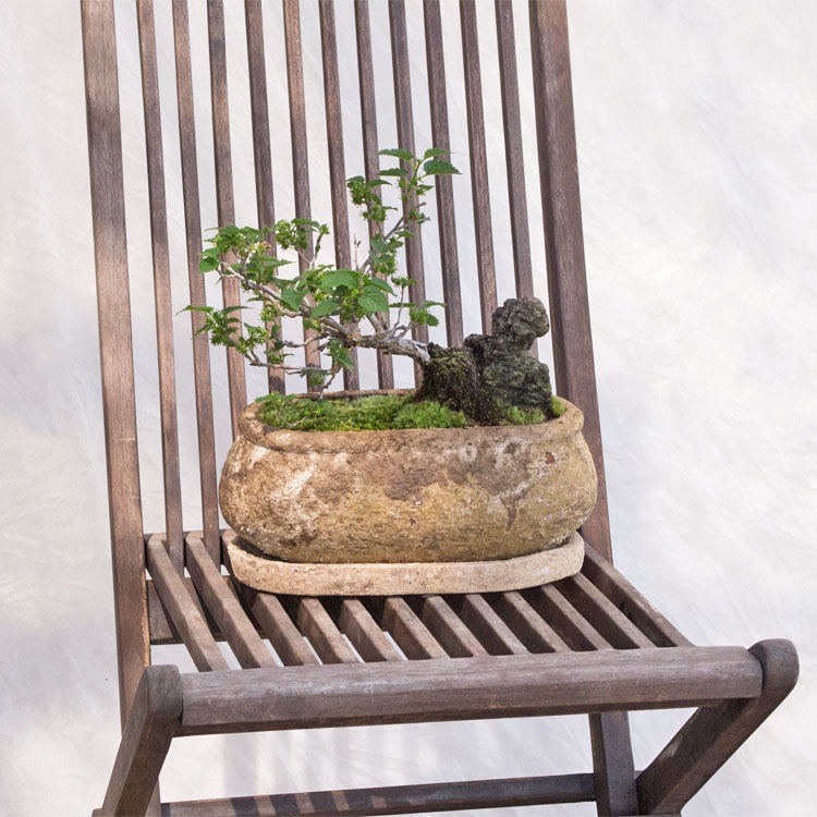 植木鉢 釉薬陶器製 インテリアポット プランター CL012-300 / W30cm×D15cm×H12cm（10号）【送料B】