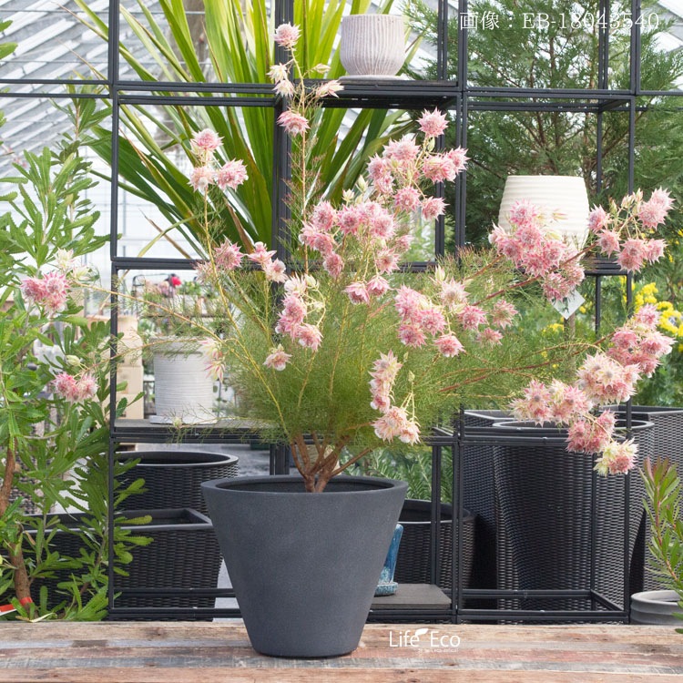 植木鉢 大型 FRP製（ファイバー） おしゃれ 軽量 LL シンプルコーン ラウンド グレー（灰）深型 φ50cm×H41cm（17号）【送料F】