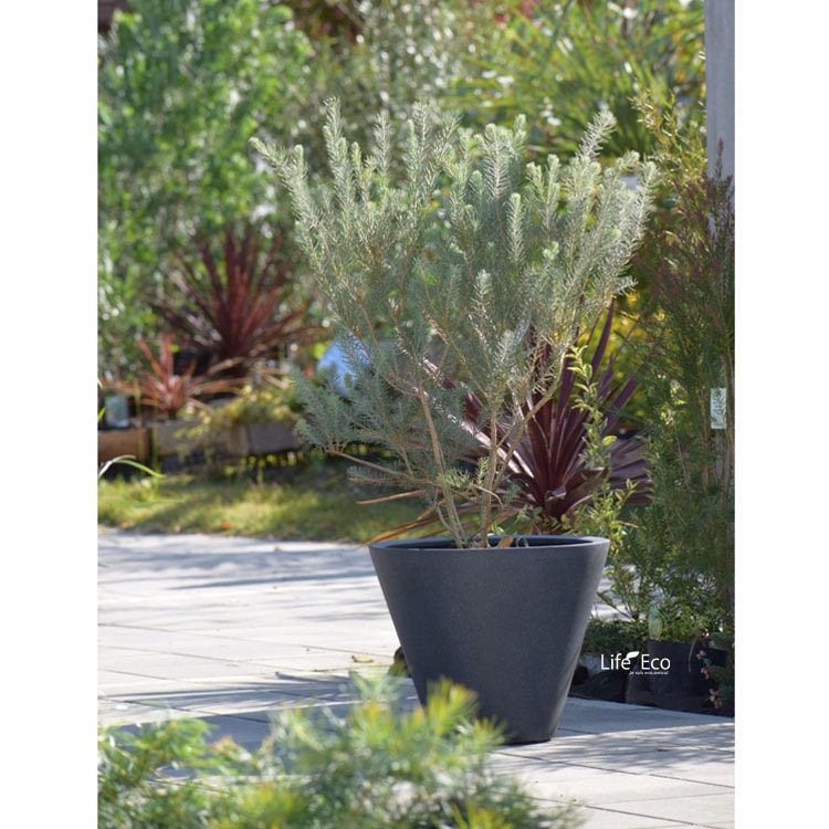 植木鉢 大型 FRP製（ファイバー） おしゃれ 軽量 LL シンプルコーン ラウンド グレー（灰）深型 φ50cm×H41cm（17号）【送料F】
