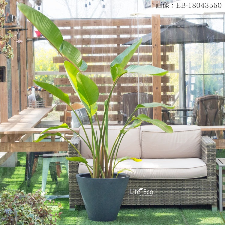 植木鉢 大型 FRP製（ファイバー） おしゃれ 軽量 LL シンプルコーン ラウンド グレー（灰）深型 φ50cm×H41cm（17号）【送料F】