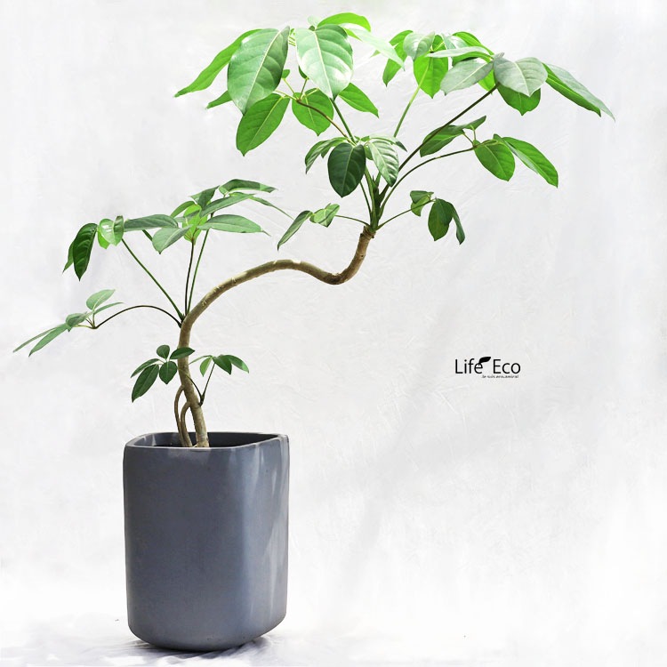 植木鉢【数量限定】ファイバークレイ製 トラペゾイド トール グレー（灰） φ29cm×H39cm（10号）【送料E】